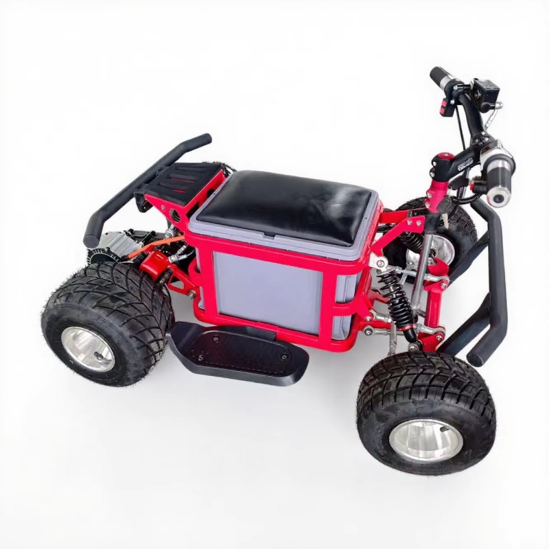 Crazy Kart Drift Electric Adul - Kids Outdoor Karting recension och pris