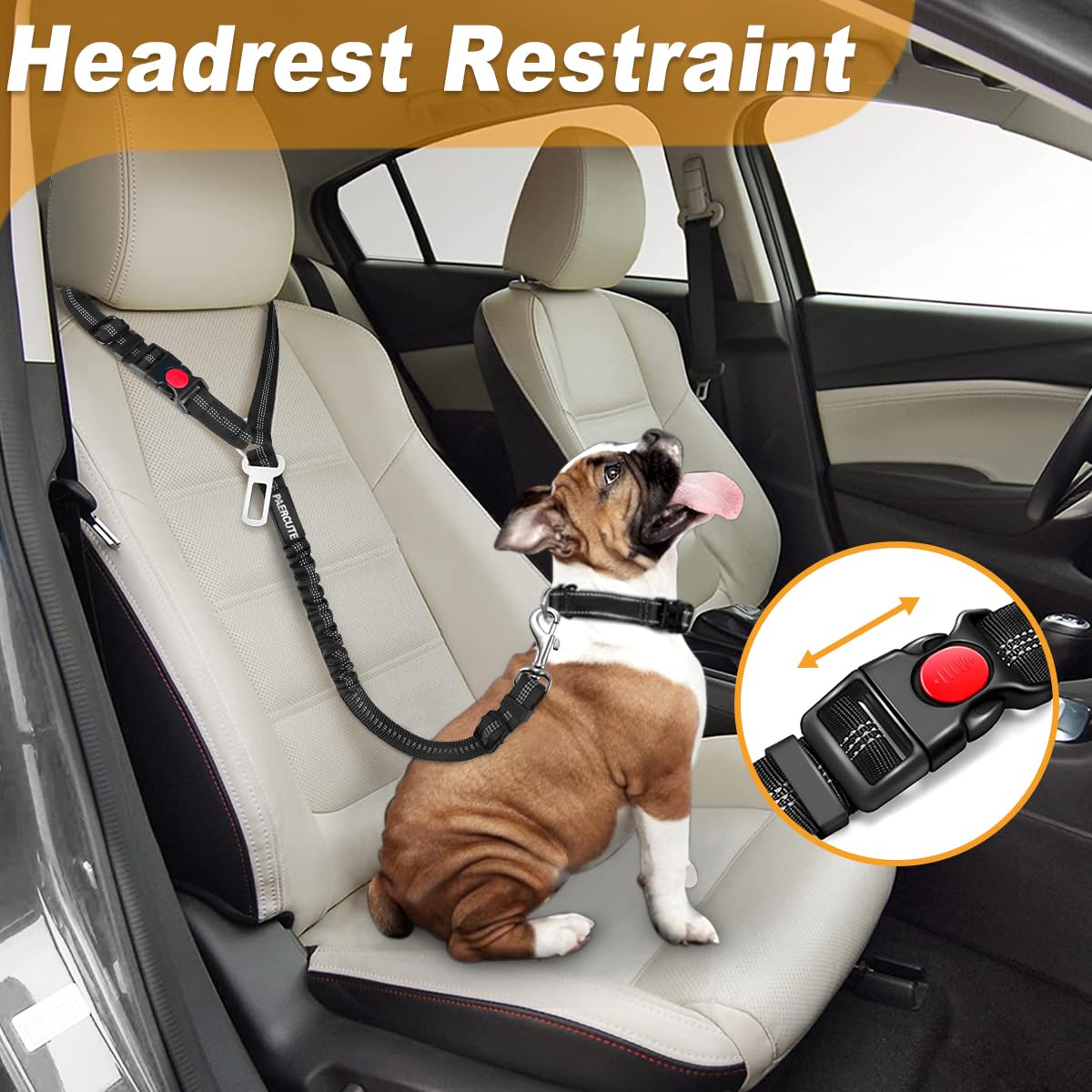 2 in 1 Solid Dog Harness Leash - Swing Seat Belt recension och pris